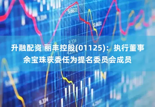 升融配资 丽丰控股(01125)：执行董事余宝珠获委任为提名委员会成员