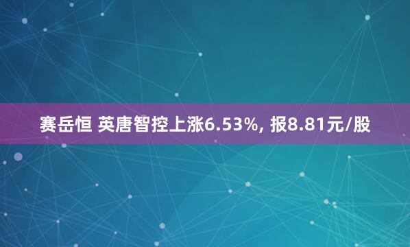 赛岳恒 英唐智控上涨6.53%, 报8.81元/股