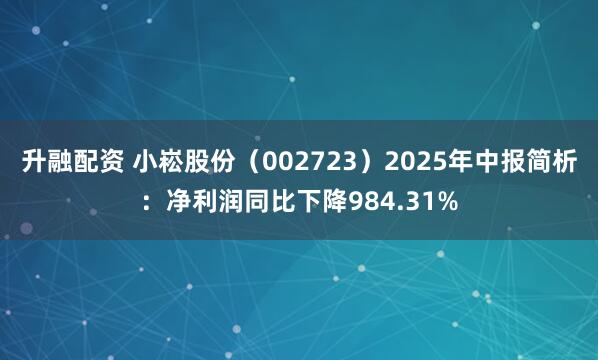 升融配资 小崧股份（002723）2025年中报简析：净利润同比下降984.31%