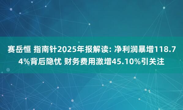 赛岳恒 指南针2025年报解读: 净利润暴增118.74%背后隐忧 财务费用激增45.10%引关注